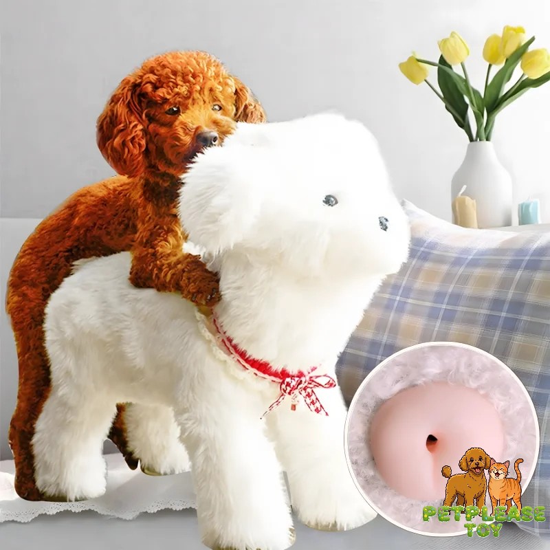 Teddy Sex Toy – Realistic Mating Toy for Small Breeds - Image 8