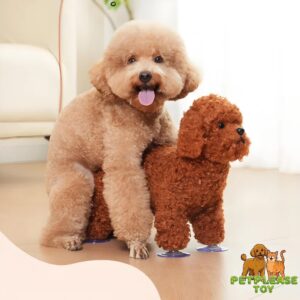 Teddy Sex Toy – Realistic Mating Toy for Small Breeds